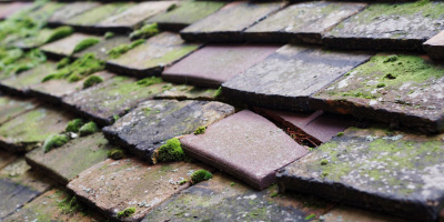 Meadle roof repair costs